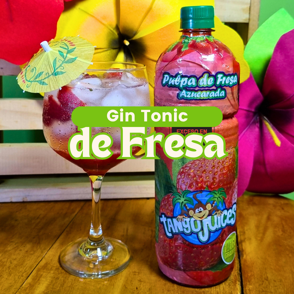 Gin Tonic Recetas 1 1